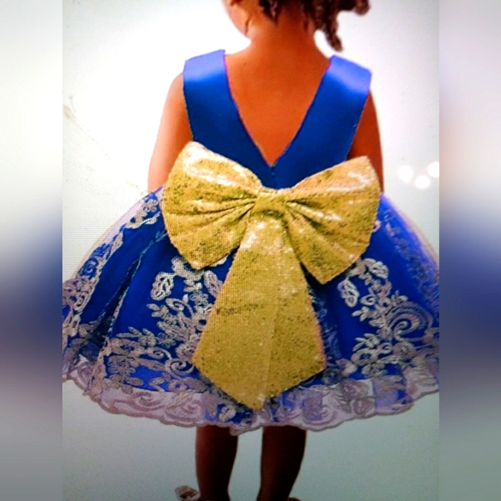 Infant pageant smash cake party tuti embroidered sequin removable bow lace dress
